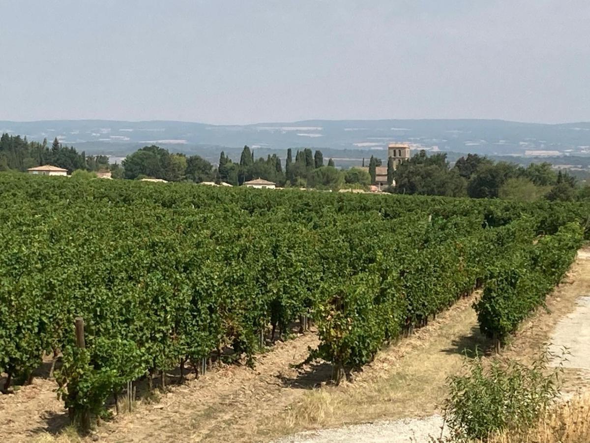 Maison Delmas, L'Oustal Du Recantu Sainte-Eulalie  Εξωτερικό φωτογραφία