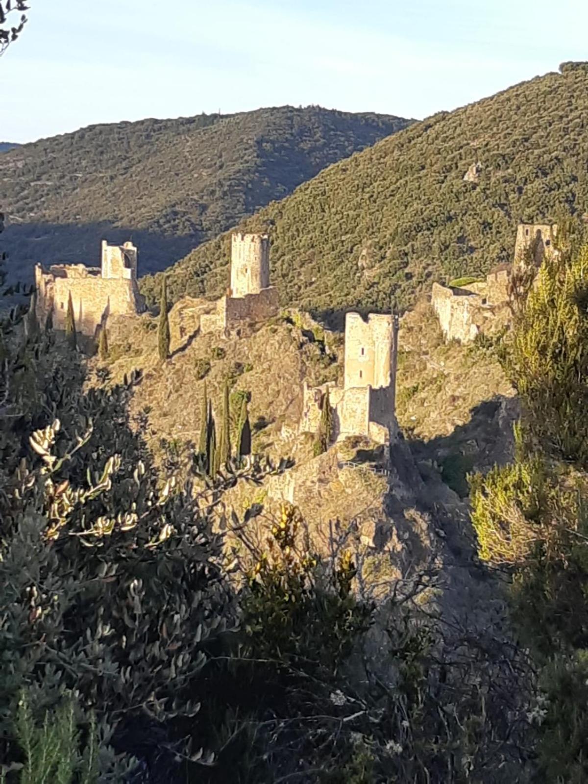 Maison Delmas, L'Oustal Du Recantu Sainte-Eulalie  Εξωτερικό φωτογραφία