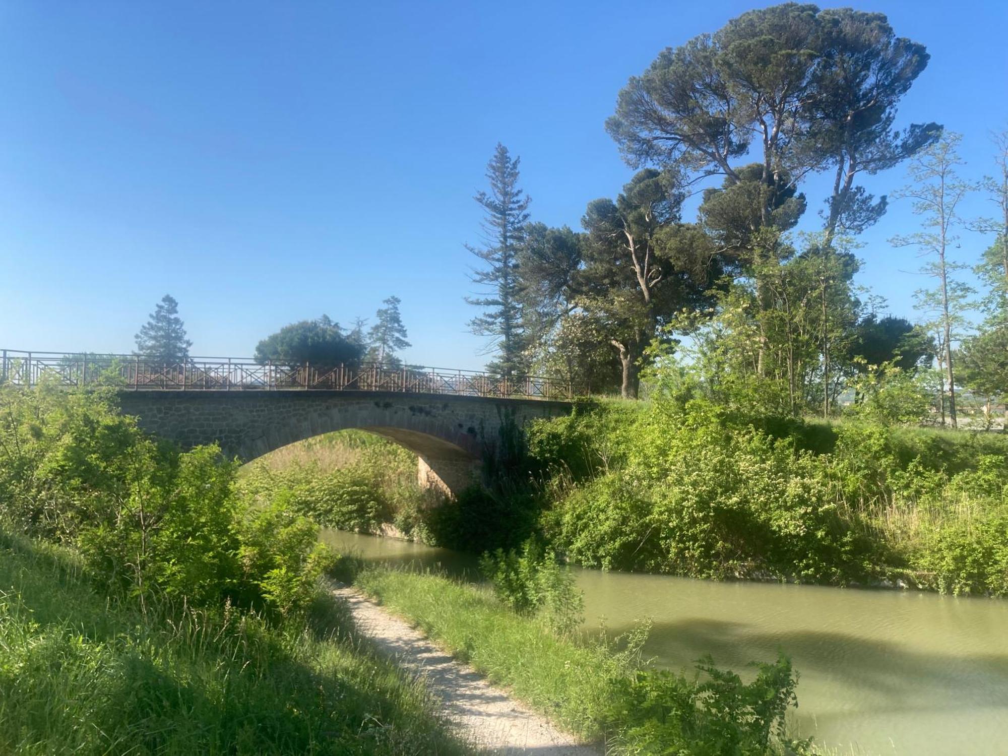 Maison Delmas, L'Oustal Du Recantu Sainte-Eulalie  Εξωτερικό φωτογραφία